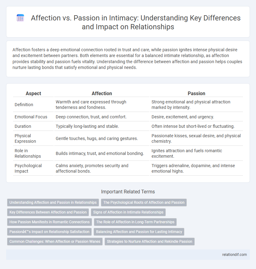 Affection vs. Passion in Intimacy: Understanding Key Differences and Impact on Relationships