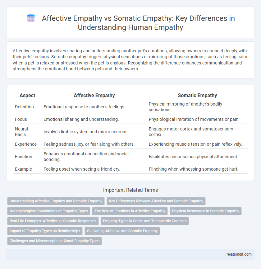 Affective Empathy vs Somatic Empathy: Key Differences in Understanding Human Empathy