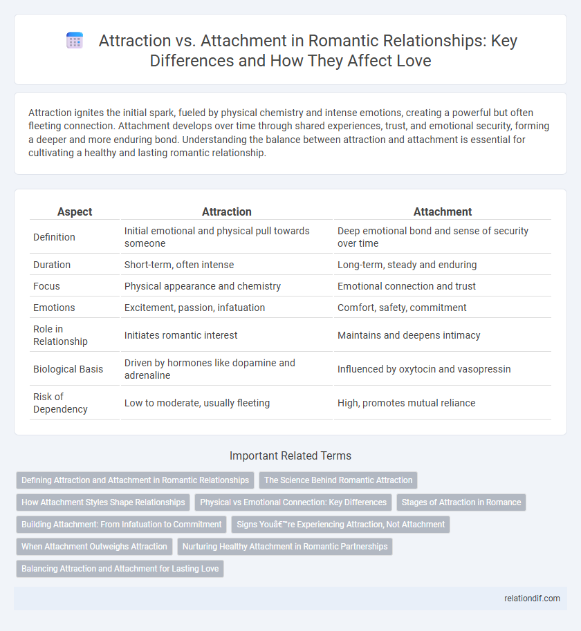 Attraction vs. Attachment in Romantic Relationships: Key Differences and How They Affect Love