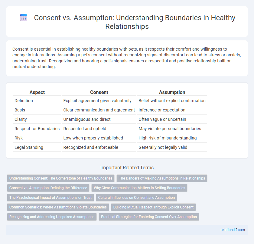 Consent vs. Assumption: Understanding Boundaries in Healthy Relationships