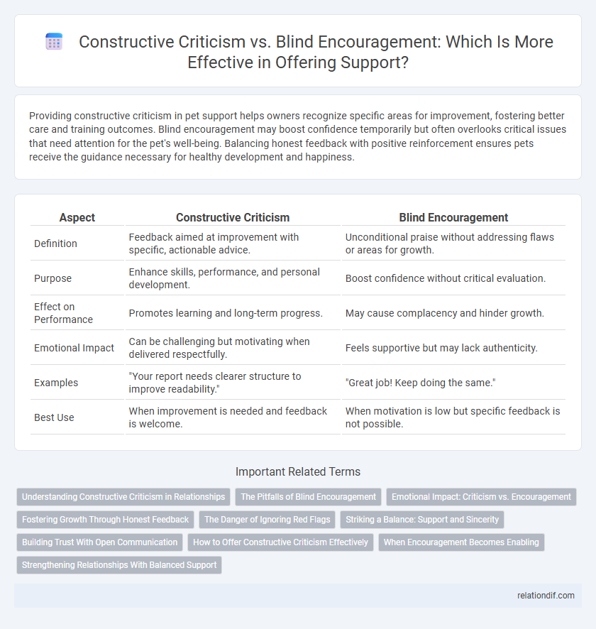 Constructive Criticism vs. Blind Encouragement: Which Is More Effective in Offering Support?