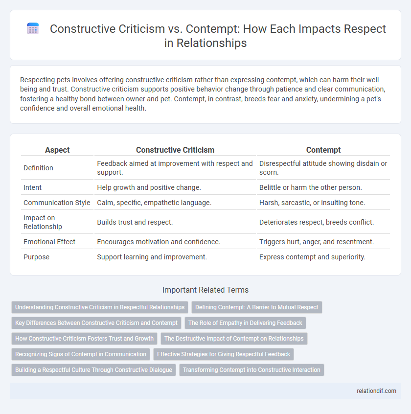 Constructive Criticism vs. Contempt: How Each Impacts Respect in Relationships