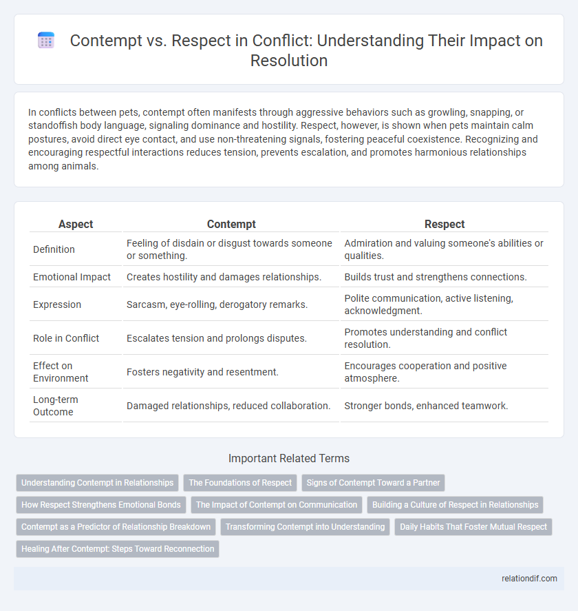 Contempt vs. Respect in Conflict: Understanding Their Impact on Resolution