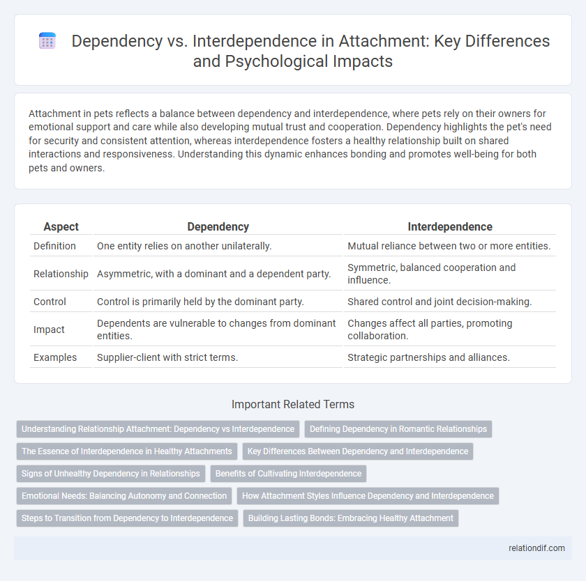 Dependency vs. Interdependence in Attachment: Key Differences and Psychological Impacts
