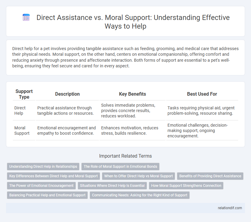 Direct Assistance vs. Moral Support: Understanding Effective Ways to Help