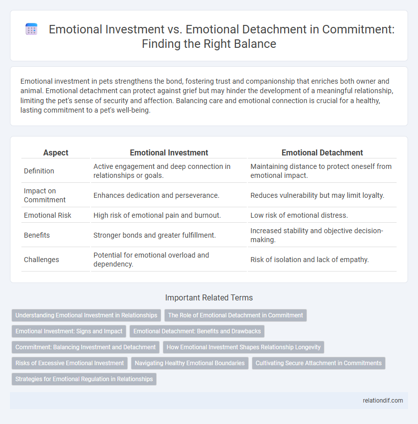 Emotional Investment vs. Emotional Detachment in Commitment: Finding the Right Balance