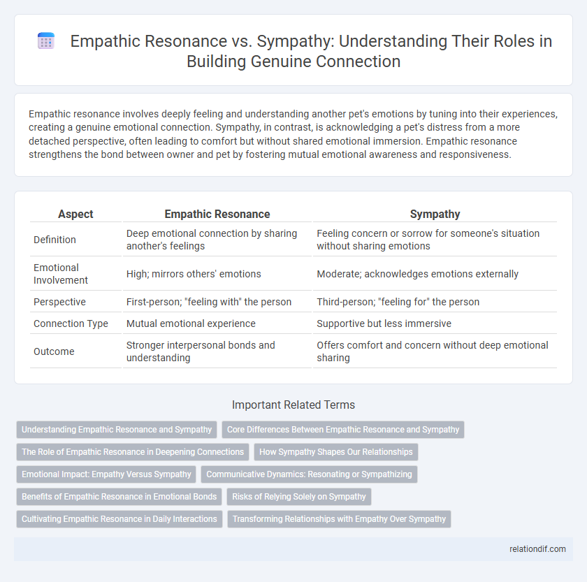Empathic Resonance vs. Sympathy: Understanding Their Roles in Building Genuine Connection