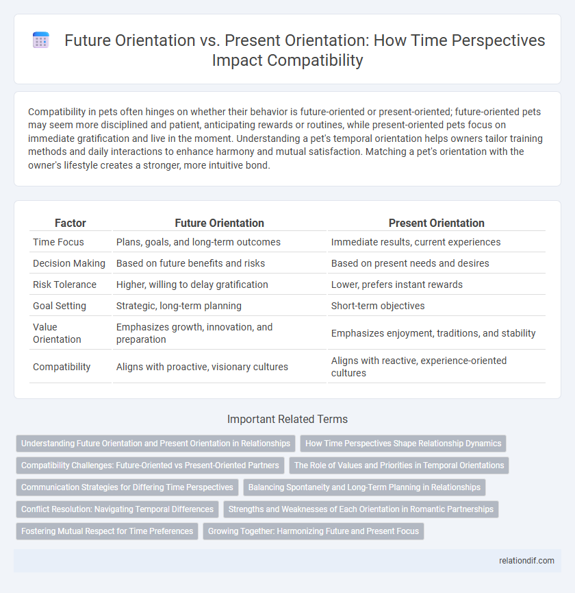 Future Orientation vs. Present Orientation: How Time Perspectives Impact Compatibility