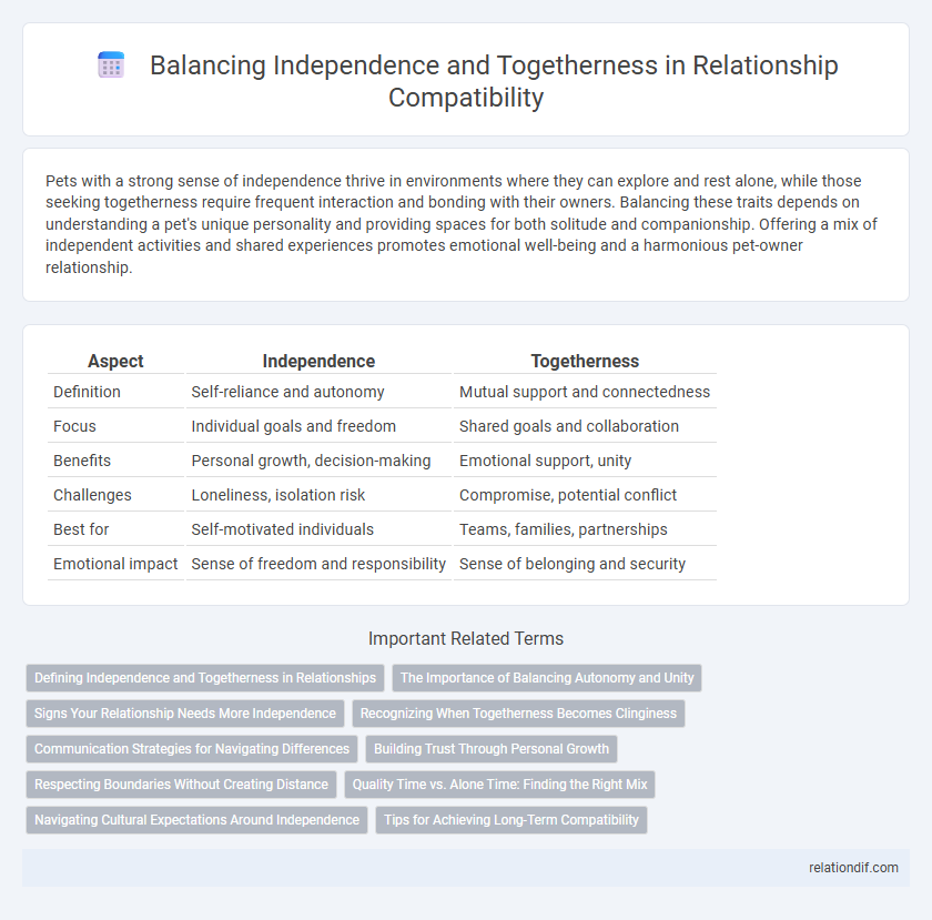 Balancing Independence and Togetherness in Relationship Compatibility