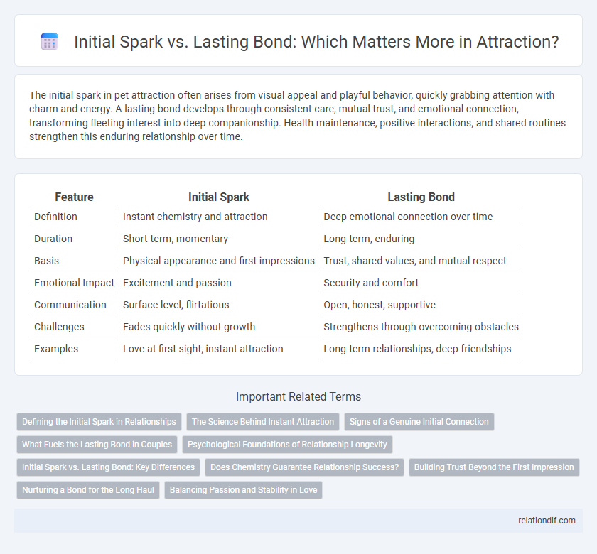 Initial Spark vs. Lasting Bond: Which Matters More in Attraction?