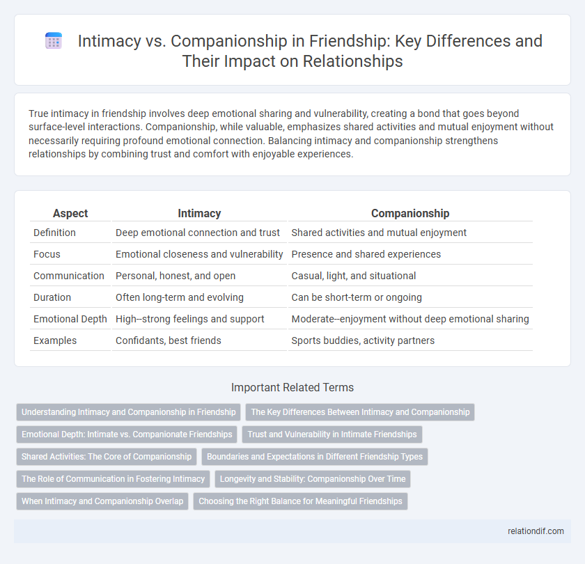 Intimacy vs. Companionship in Friendship: Key Differences and Their Impact on Relationships