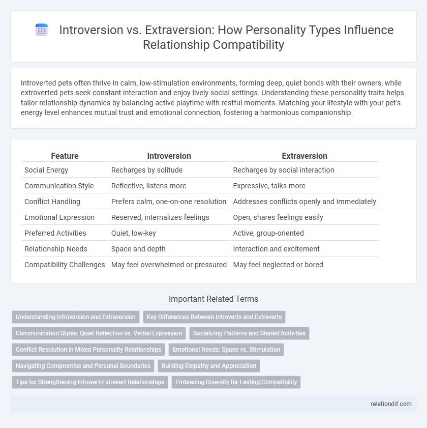 Introversion vs. Extraversion: How Personality Types Influence Relationship Compatibility