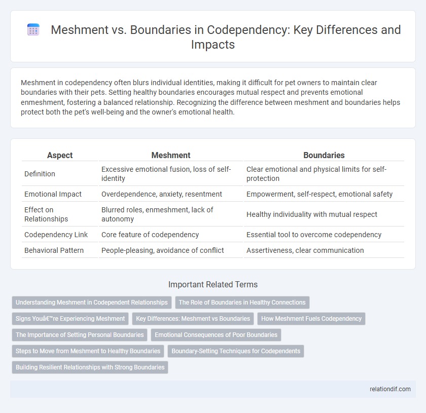 Meshment vs. Boundaries in Codependency: Key Differences and Impacts