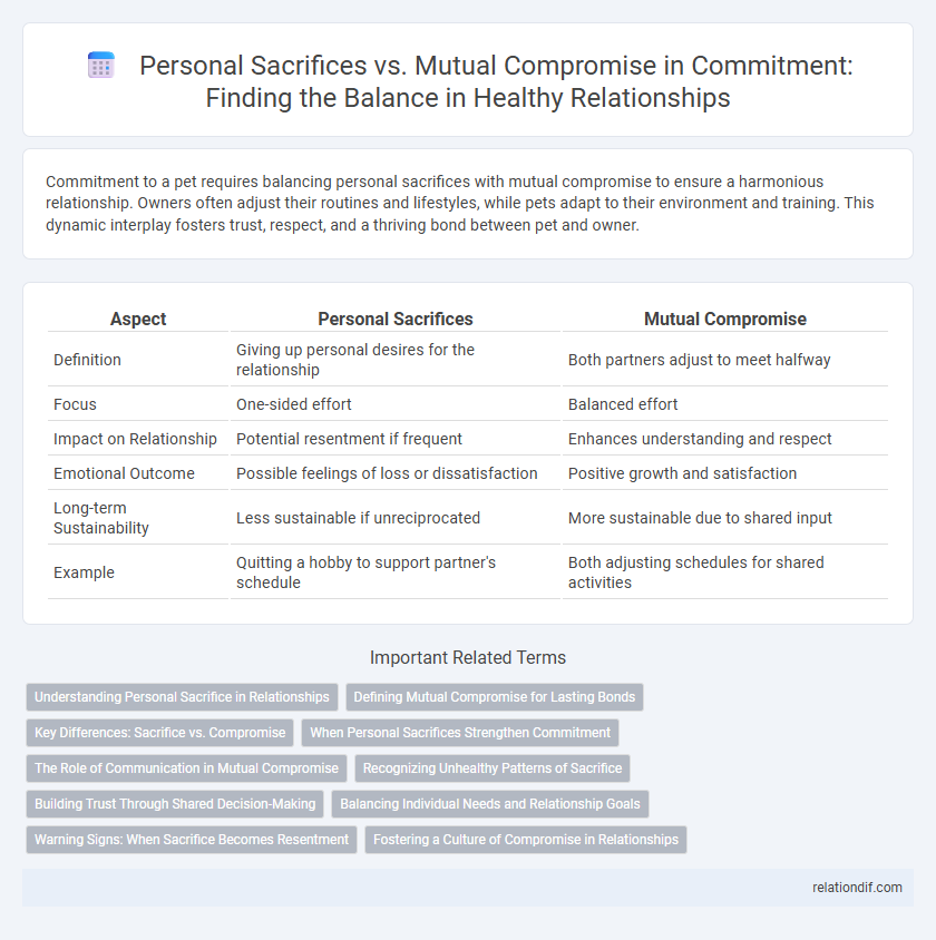 Personal Sacrifices vs. Mutual Compromise in Commitment: Finding the Balance in Healthy Relationships