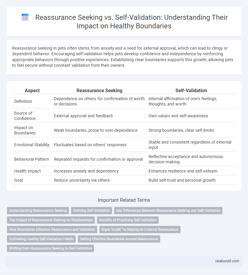 Reassurance Seeking vs. Self-Validation: Understanding Their Impact on Healthy Boundaries
