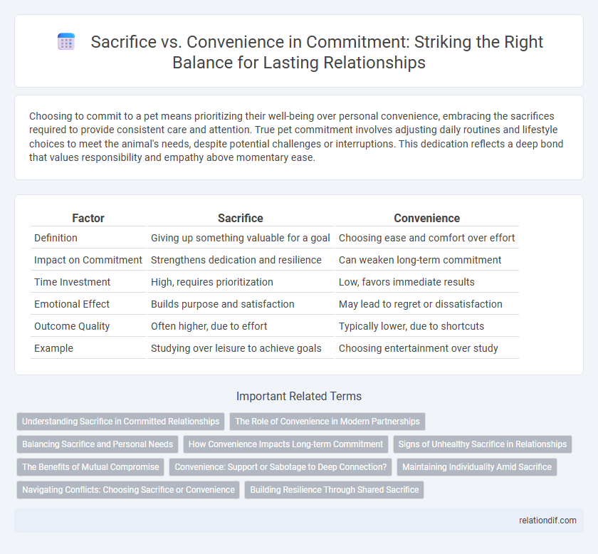 Sacrifice vs. Convenience in Commitment: Striking the Right Balance for Lasting Relationships