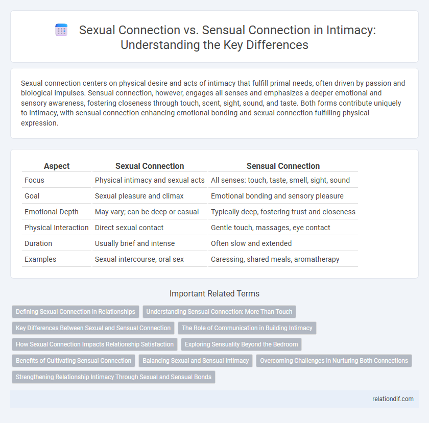 Sexual Connection vs. Sensual Connection in Intimacy: Understanding the Key Differences