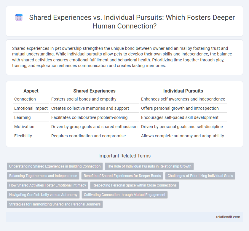 Shared Experiences vs. Individual Pursuits: Which Fosters Deeper Human Connection?