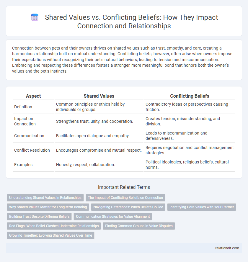 Shared Values vs. Conflicting Beliefs: How They Impact Connection and Relationships