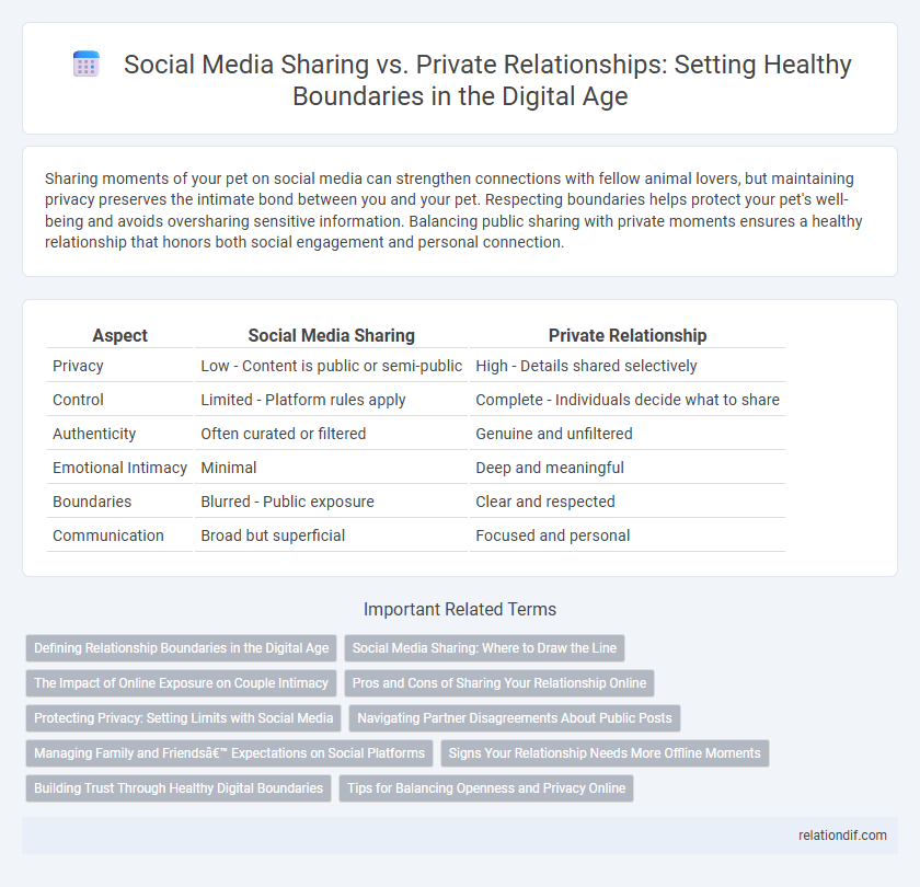 Social Media Sharing vs. Private Relationships: Setting Healthy Boundaries in the Digital Age
