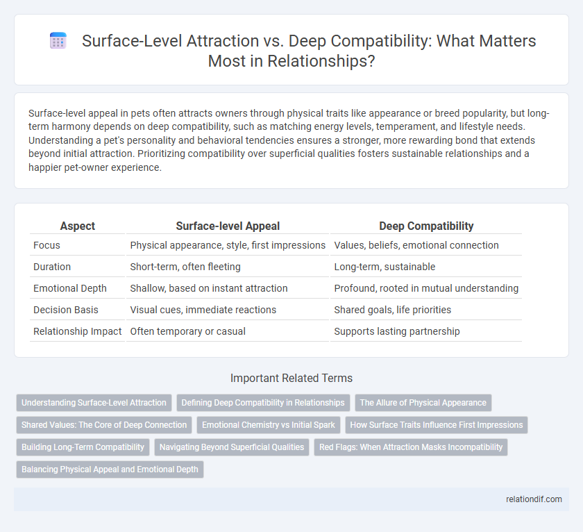 Surface-Level Attraction vs. Deep Compatibility: What Matters Most in Relationships?