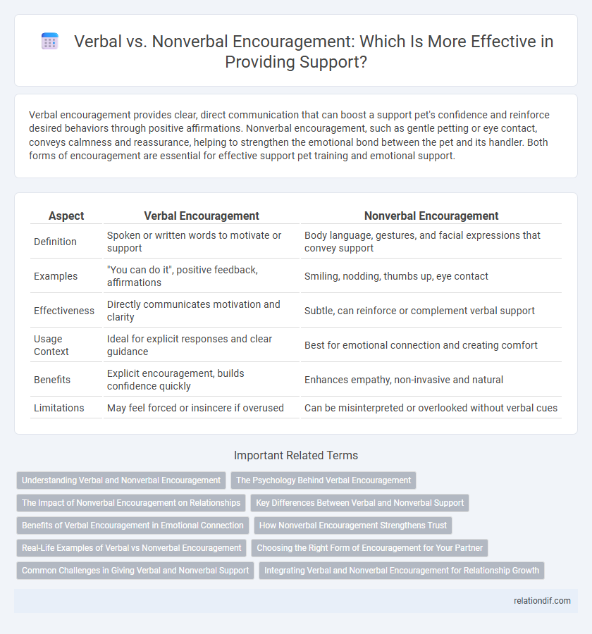 Verbal vs. Nonverbal Encouragement: Which Is More Effective in Providing Support?