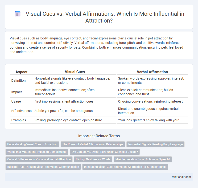 Visual Cues vs. Verbal Affirmations: Which Is More Influential in Attraction?
