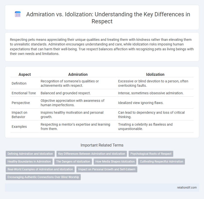 Admiration vs. Idolization: Understanding the Key Differences in Respect