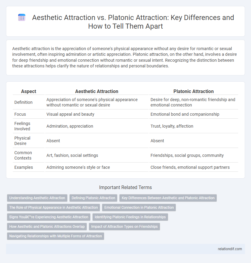 Aesthetic Attraction vs. Platonic Attraction: Key Differences and How to Tell Them Apart