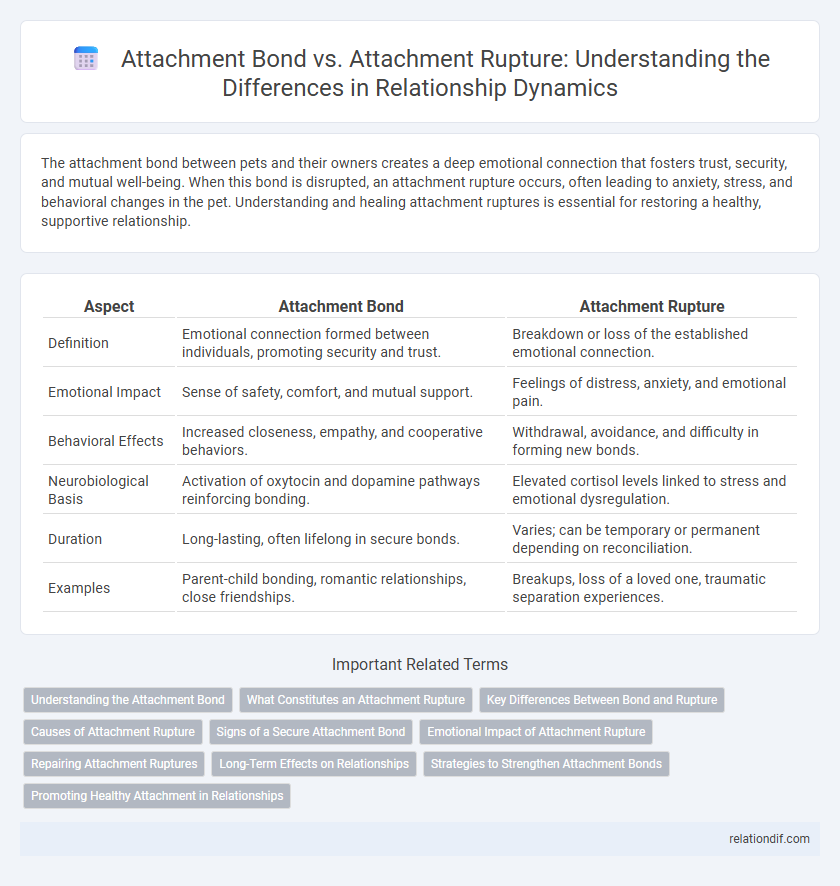 Attachment Bond vs. Attachment Rupture: Understanding the Differences in Relationship Dynamics