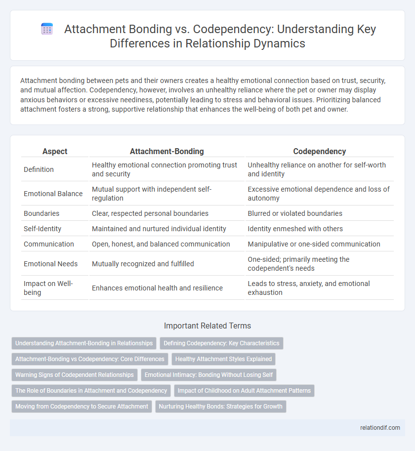 Attachment Bonding vs. Codependency: Understanding Key Differences in Relationship Dynamics