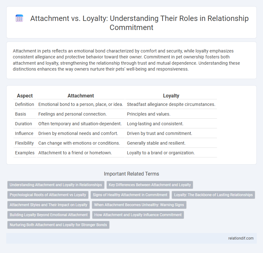 Attachment vs. Loyalty: Understanding Their Roles in Relationship Commitment