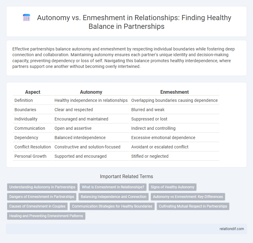 Autonomy vs. Enmeshment in Relationships: Finding Healthy Balance in Partnerships