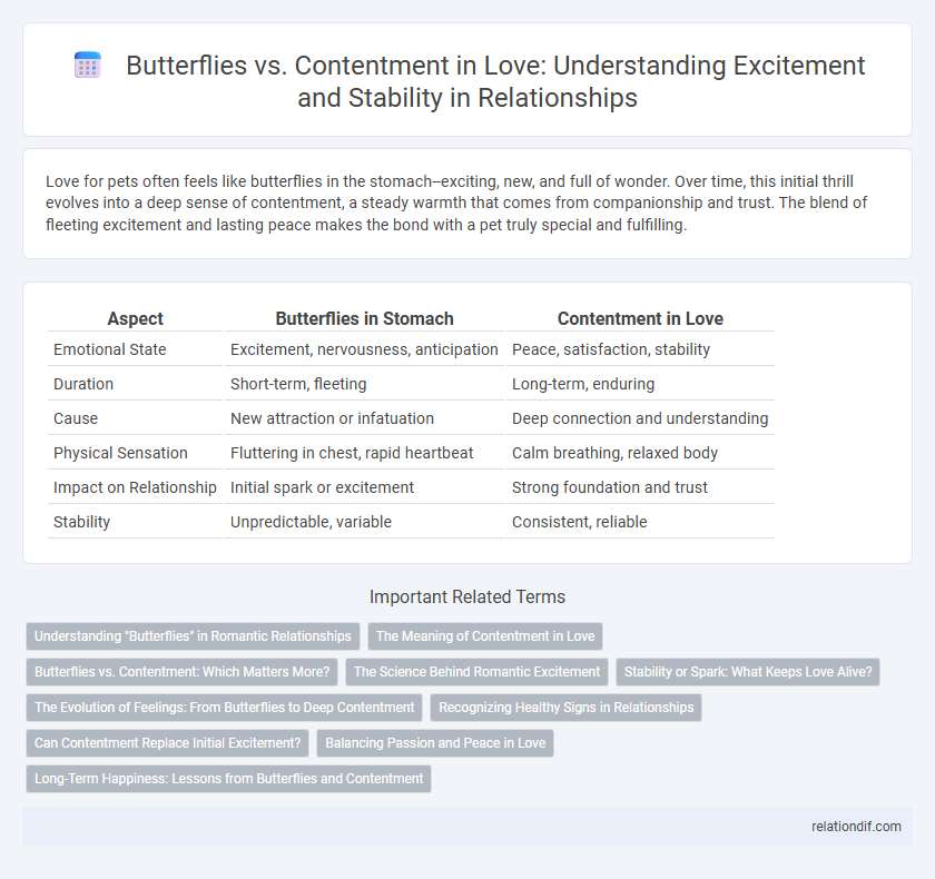 Butterflies vs. Contentment in Love: Understanding Excitement and Stability in Relationships
