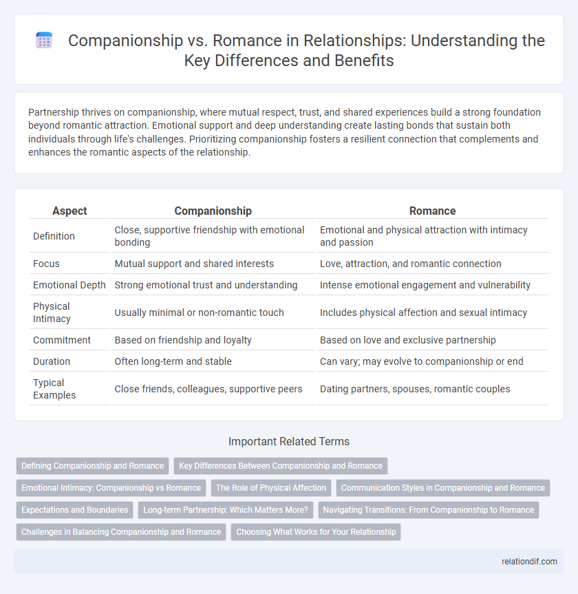 Companionship vs. Romance in Relationships: Understanding the Key Differences and Benefits