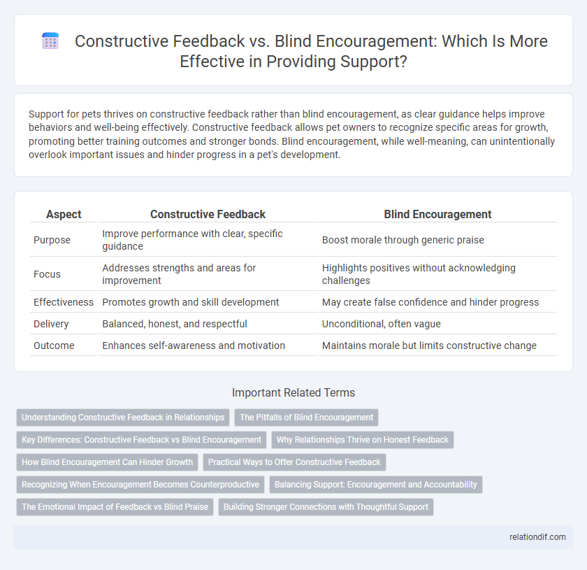 Constructive Feedback vs. Blind Encouragement: Which Is More Effective in Providing Support?