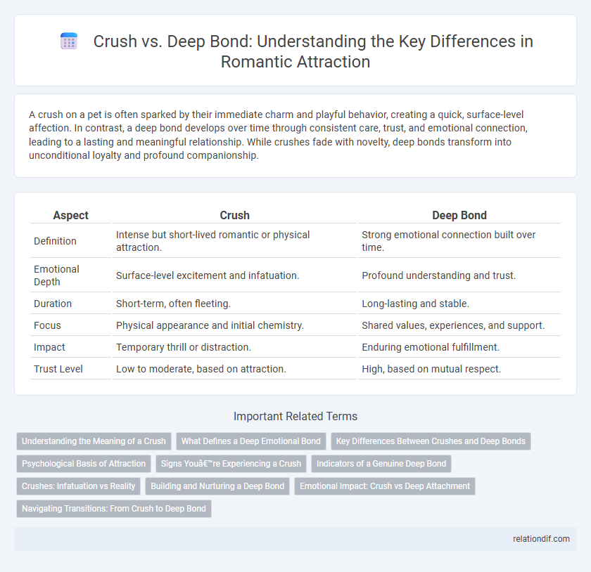 Crush vs. Deep Bond: Understanding the Key Differences in Romantic Attraction