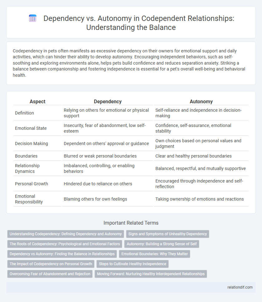 Dependency vs. Autonomy in Codependent Relationships: Understanding the Balance