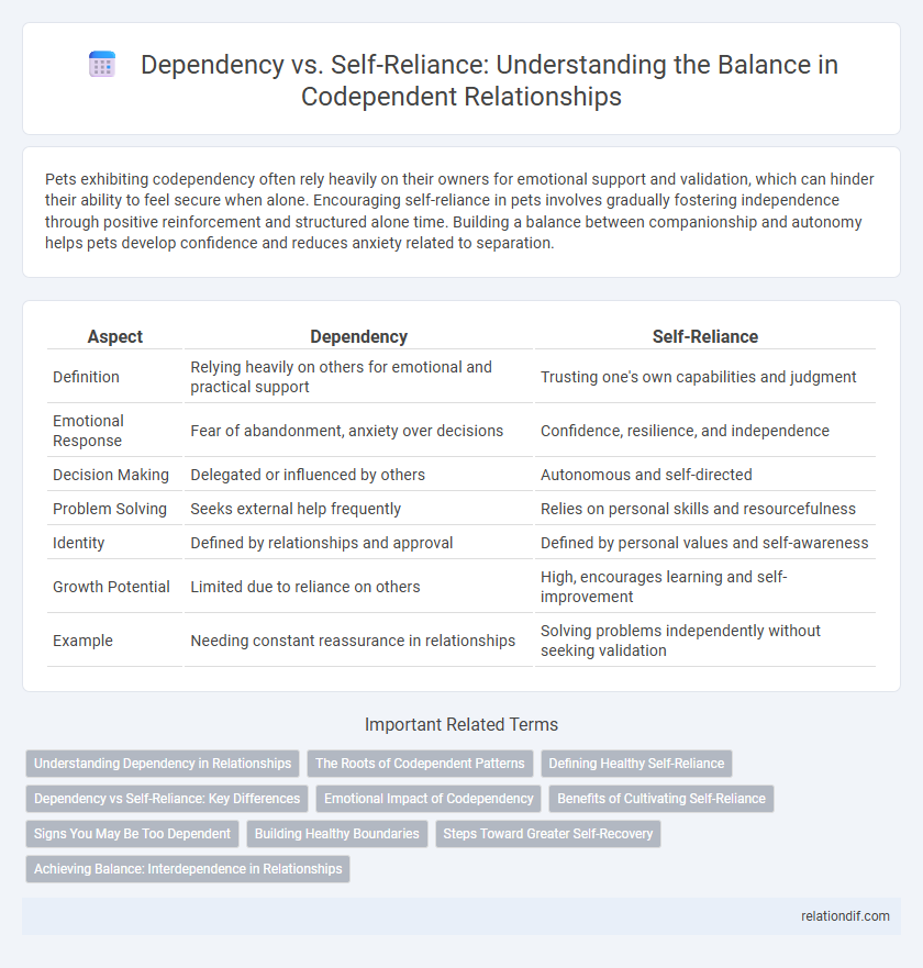 Dependency vs. Self-Reliance: Understanding the Balance in Codependent Relationships