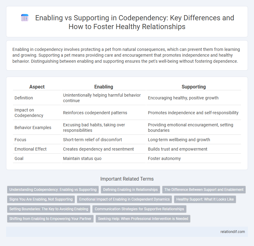Enabling vs Supporting in Codependency: Key Differences and How to Foster Healthy Relationships