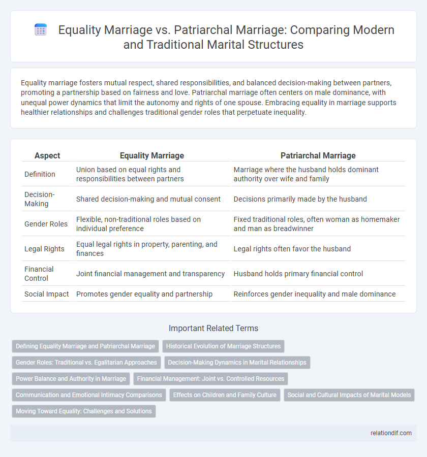Equality Marriage vs. Patriarchal Marriage: Comparing Modern and Traditional Marital Structures