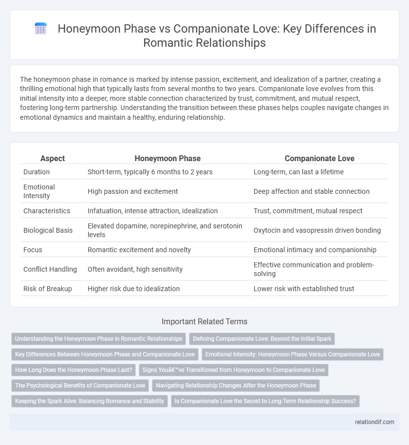 Honeymoon Phase vs Companionate Love: Key Differences in Romantic Relationships