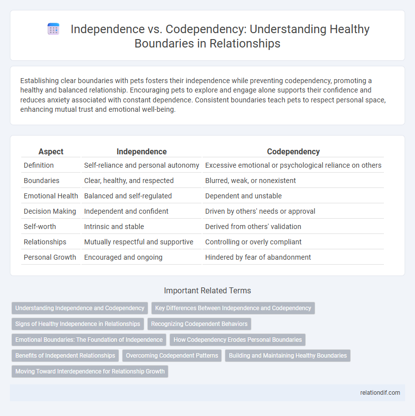 Independence vs. Codependency: Understanding Healthy Boundaries in Relationships
