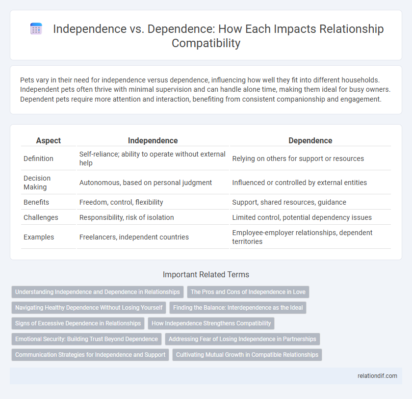 Independence vs. Dependence: How Each Impacts Relationship Compatibility