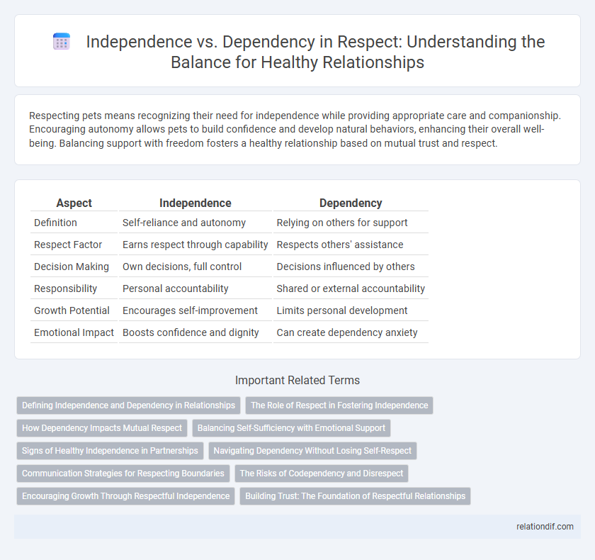 Independence vs. Dependency in Respect: Understanding the Balance for Healthy Relationships