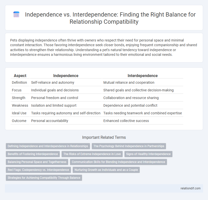 Independence vs. Interdependence: Finding the Right Balance for Relationship Compatibility