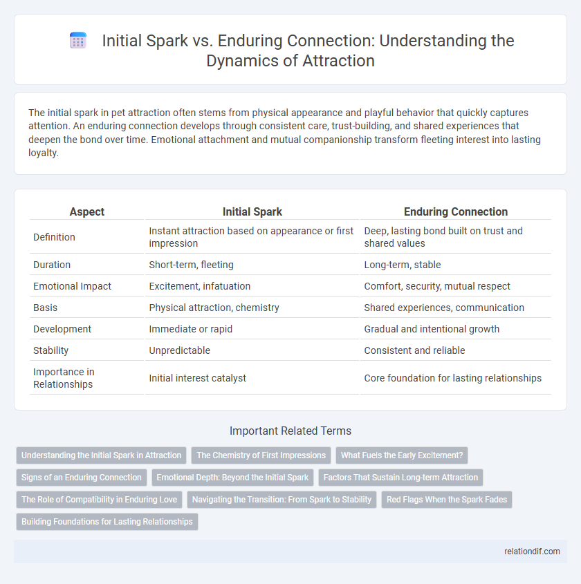 Initial Spark vs. Enduring Connection: Understanding the Dynamics of Attraction