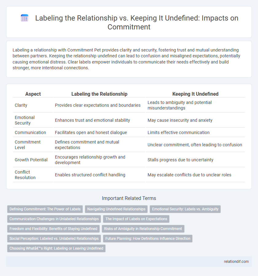 Labeling the Relationship vs. Keeping It Undefined: Impacts on Commitment