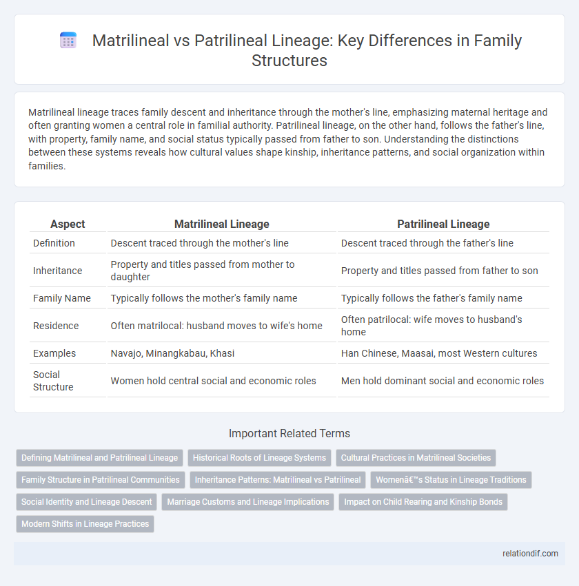 Matrilineal vs Patrilineal Lineage: Key Differences in Family Structures