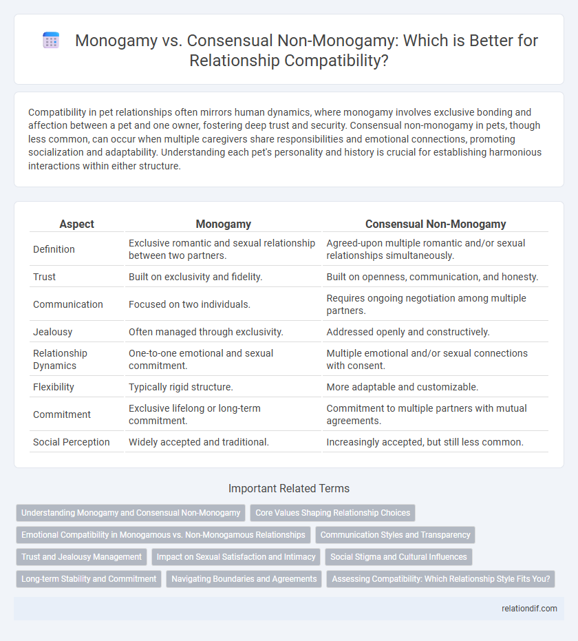 Monogamy vs. Consensual Non-Monogamy: Which is Better for Relationship Compatibility?
